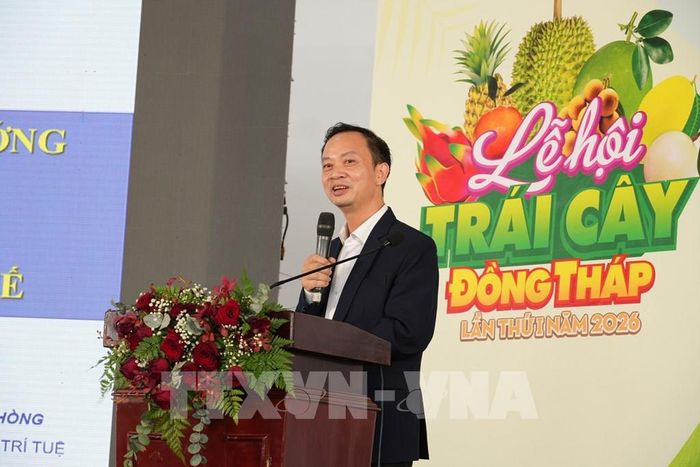Ông Trần Giang Khuê, Trưởng Văn phòng miền Nam, Cục Sở hữu trí tuệ tham luận tại Hội thảo. Ảnh: Công Trí-TTXVN