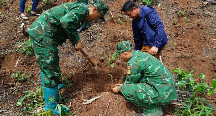 Bộ đội Biên phòng và các đại biểu tham gia trồng cây xanh.