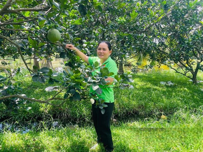 Bà Phan Thị Bích Liễu, Chủ tịch Hội Nông dân xã Tân Vĩnh Lộc, TP Hồ Chí Minh