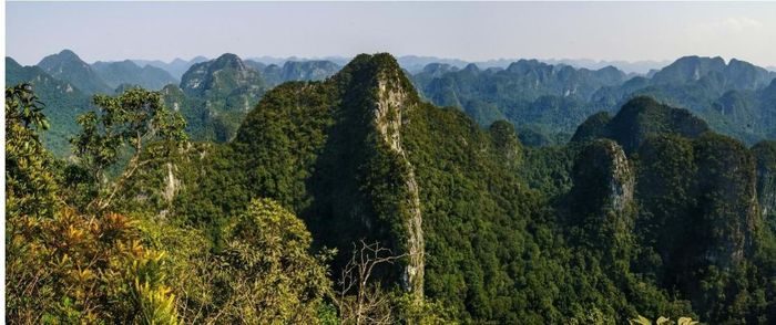 Phong cảnh hệ thống núi đá vôi và rừng trong Vườn quốc gia Phong Nha - Kẻ Bàng.