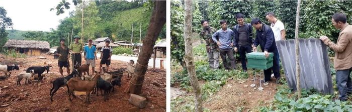 Hỗ trợ sinh kế sinh thái bền vững cho bà con địa phương.