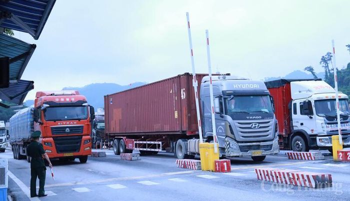 Nhiều phương tiện vận chuyển máy móc, thiết bị, hàng công nghiệp nhập khẩu xếp thứ tự làm thủ tục vào nội địa.
