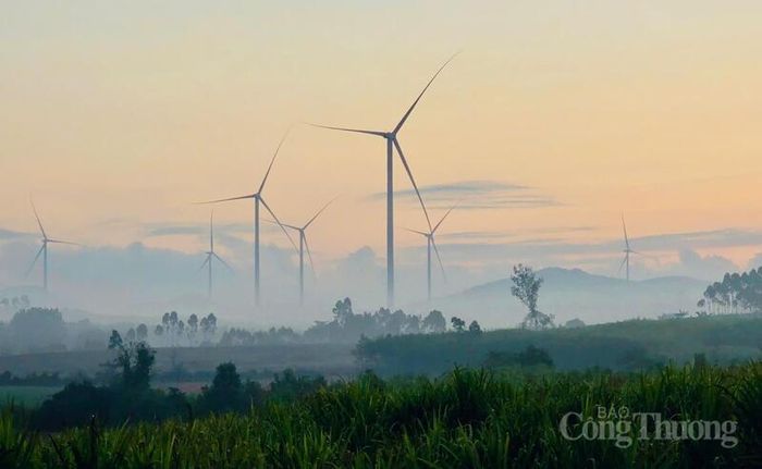 24 dự án điện gió được tỉnh Gia Lai yêu cầu khởi công trong năm 2026. Ảnh: Hiền Mai