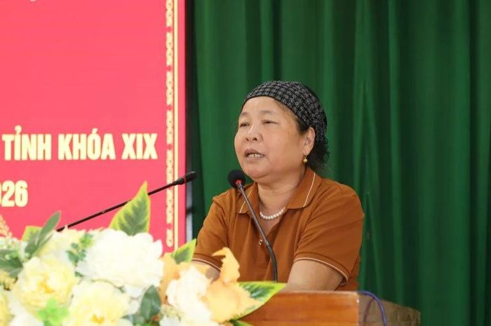 Cử tri đơn vị bầu cử số 6 nêu kiến nghị.