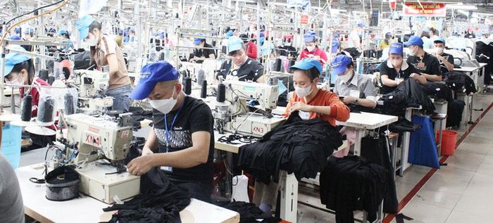 Công ty cổ phần May xuất khẩu Hà Phong, xã Hiệp Hòa là một trong những đơn vị được tỉnh hỗ trợ tuyển dụng lao động. 