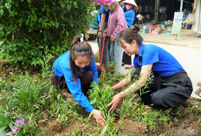 ĐVTN tích cực tham gia trồng hoa.