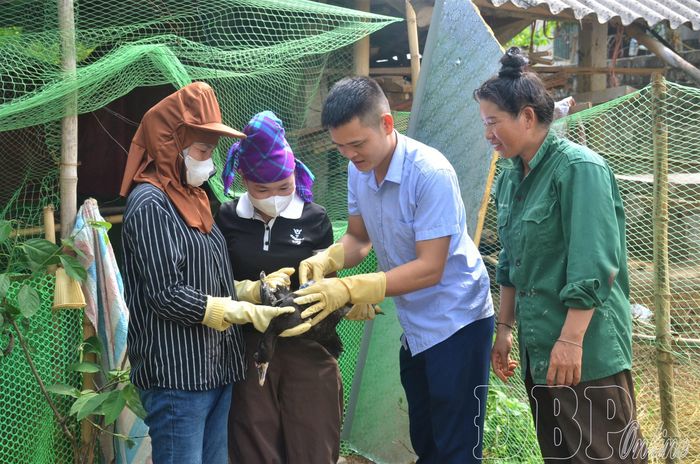 Người dân bản Huổi Phúc được hướng dẫn quy trình tiêm phòng bệnh cho gia cầm.