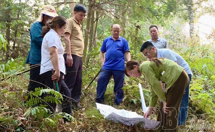 Chị Nguyễn Thị Diễn (Hạt Kiểm lâm Điện Biên Đông) kiểm tra diện tích giao đất, giao rừng trên địa bàn phụ trách.