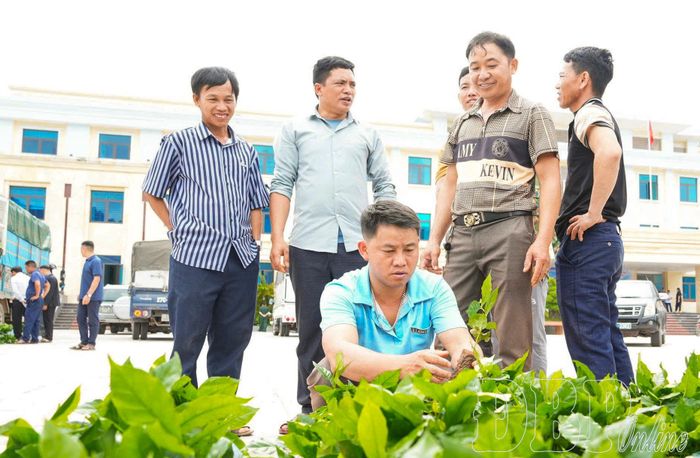 100.000 cây giống cà phê, 5.000 cây giống mắc ca được trao tặng 60 hộ nghèo, có hoàn cảnh khó khăn và gia đình chính sách trên địa bàn xã Nà Hỳ.
