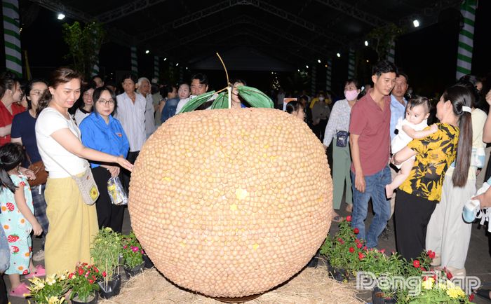 Trái nhãn khổng lồ được tạo hình từ rất nhiều trái nhãn