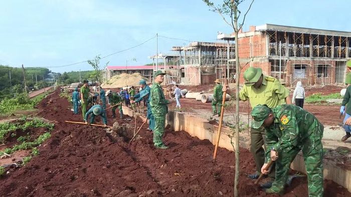  Những cây con được kỳ vọng sinh trưởng tốt, sớm tạo bóng mát cho học sinh khi ngôi trường hoàn thành vào năm học mới. Ảnh: Minh Trung 