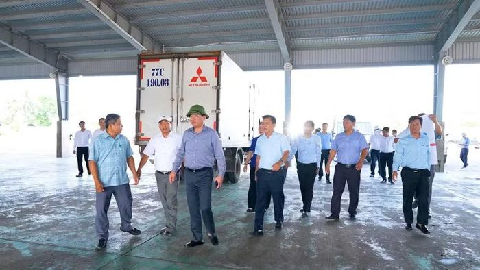Chủ tịch UBND tỉnh Phạm Anh Tuấn kiểm tra tình hình thực hiện Đề án Quy hoạch mở rộng cảng cá Tam Quan, kết hợp khu neo đậu tránh trú bão Cảng cá Tam Quan (phường Hoài Nhơn Bắc). Ảnh: Dũng Nhân