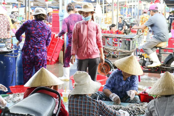Rộn ràng bến cảng.