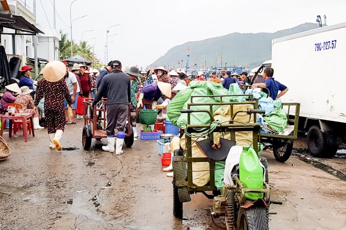 Cảng cá nhộn nhịp vào buổi sớm.