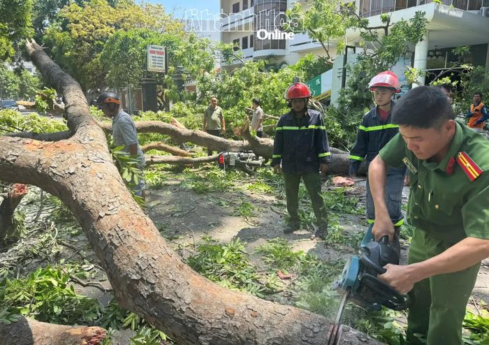 Lực lượng chức năng đã có mặt tại hiện trường, sử dụng các phương tiện cắt, di dời phần cây gãy, đổ, cẩn thận đưa nạn nhân ra ngoài an toàn.