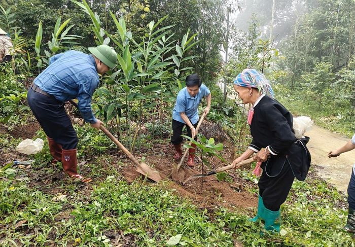 Lãnh đạo cùng người dân xã Tả Lèng trồng cây xanh tại bản Chù Lìn.