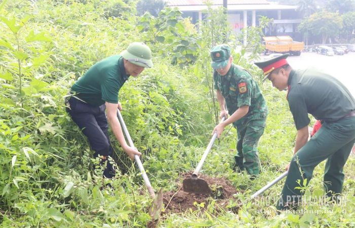 Các đại biểu trồng cây đào dọc đường lên mốc 1114/2