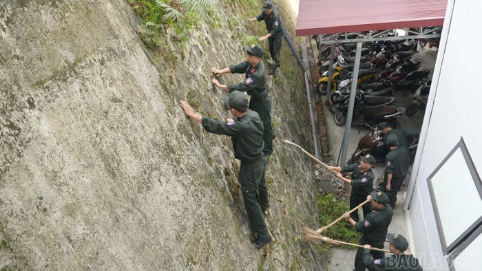 Chỉnh trang khuôn viên cơ quan.