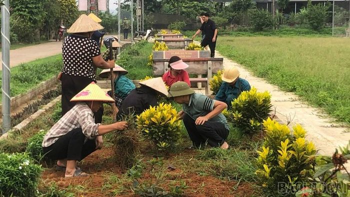 Vệ sinh các tuyến đường và nhổ cỏ đường hoa.