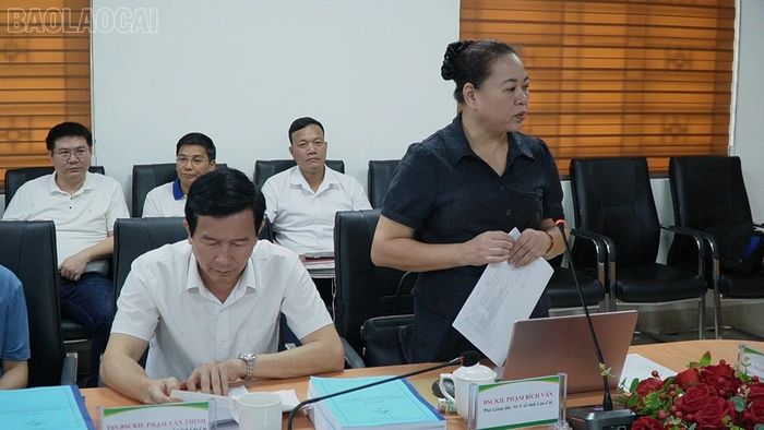 Bà Phạm Bích Vân - Phó Giám đốc Sở Y tế tỉnh Lào Cai phát biểu tại buổi làm việc.