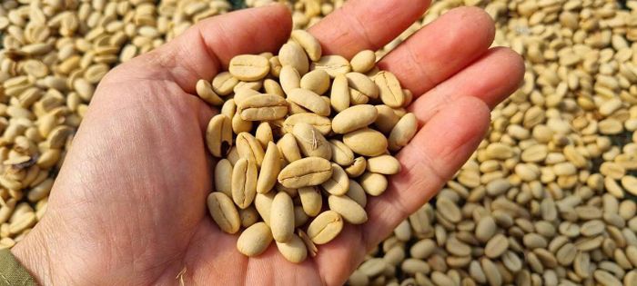 Chế biến sâu sẽ giúp gia tăng giá trị sản phẩm thay vì chỉ xuất thô