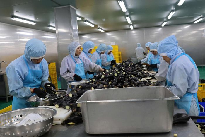 Chế biến nông sản tại KCN Phú Hội