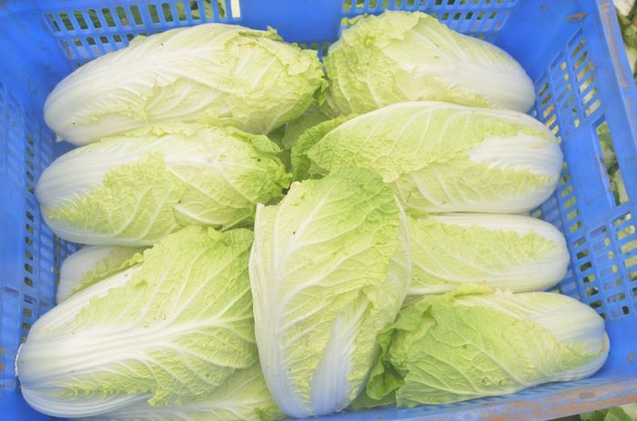 Nhu cầu bao tiêu các loại nông sản tỉnh Lâm Đồng như cải thảo, bắp cải, cà chua, thủy sản của doanh nghiệp MM Mega market hiện rất lớn