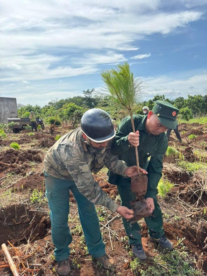 Hội viên CCB đồng hành cùng địa phương trong nhiều phần việc vì cộng đồng
