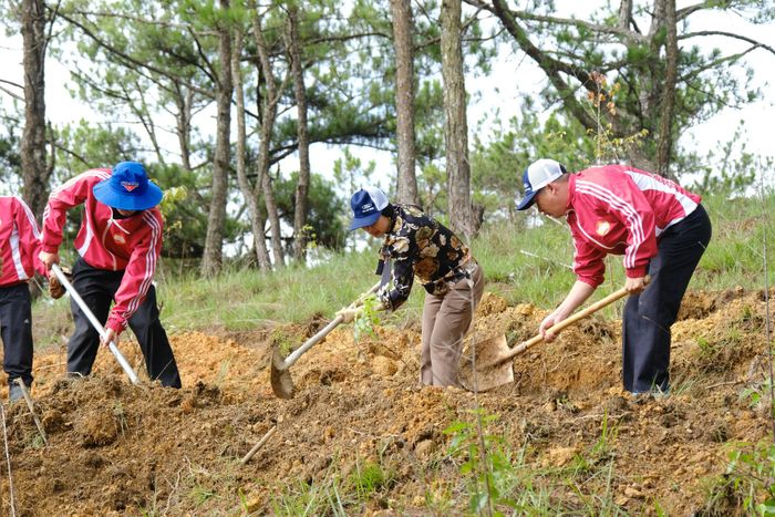 Đồng chí Phạm Thị Phúc, Phó Bí thư Tỉnh ủy tham gia trồng cây tại Nghĩa trang Liệt sĩ phường Xuân Trường - Đà Lạt