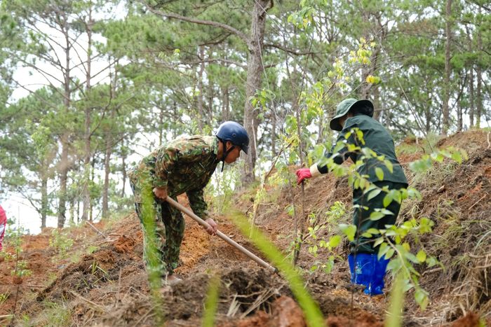 Các tầng lớp Nhân dân trên địa bàn phường Xuân Trường - Đà Lạt tham gia trồng cây tại Nghĩa trang Liệt sĩ phường Xuân Trường - Đà Lạt
