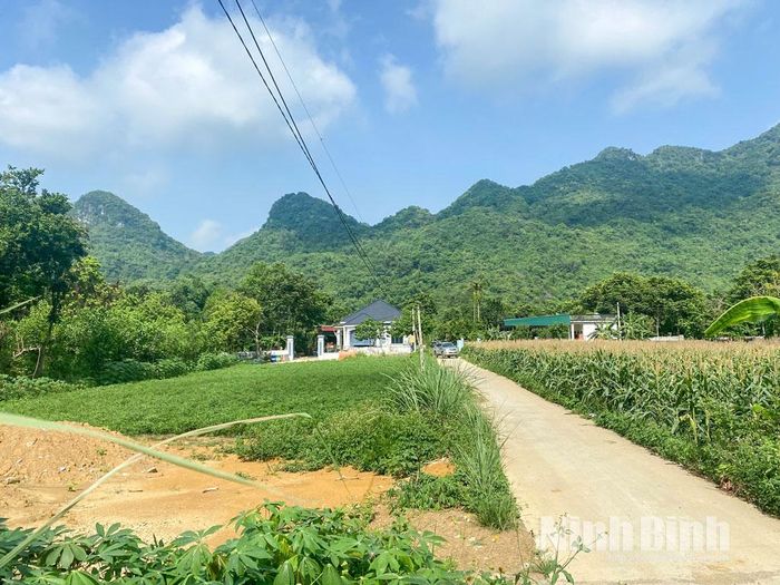 Đá Hàn hôm nay gợi nên sự trù phú.