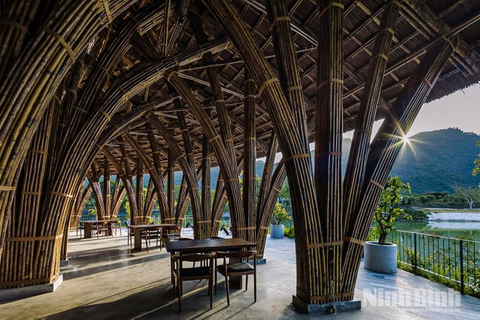 Những thân tre sau khi được xử lý kỹ thuật bảo đảm độ bền cao và khả năng chống mối mọt hiệu quả.