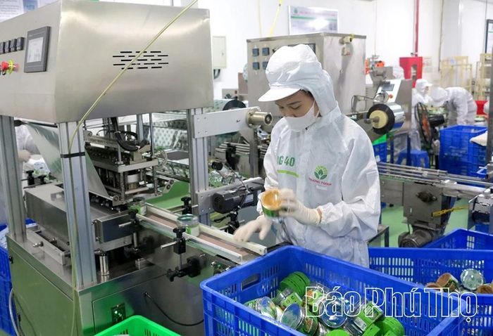 Các doanh nghiệp trên địa bàn xã Thanh Sơn tích cực sản xuất, góp phần phát triển kinh tế địa phương.