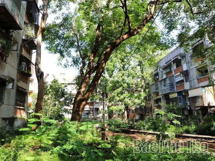 Theo kế hoạch, trong năm 2026 toàn bộ chung cư, nhà ở cao tầng cũ trên địa bàn tỉnh sẽ được cơ quan chuyên môn kiểm định, phân loại và đánh giá mức độ an toàn để có phương án xử lý, cải tạo.