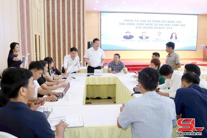 Phiên tư vấn và đánh giá năng lực ứng dụng công nghệ và đổi mới sáng tạo của doanh nghiệp HTX.