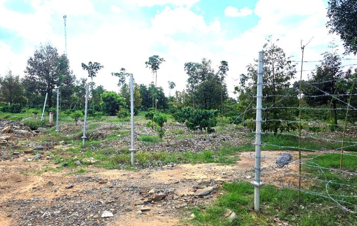 Tại vị trí tái lấn chiếm hành lang bên phải tuyến khiến việc thi công hàng rào, hoàn thiện dự án chưa thể thực hiện. Ảnh: Ngọc Hùng