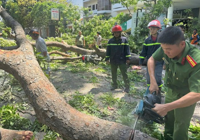 Lực lượng chức năng nhanh chóng xử lý hiện trường cây đổ.