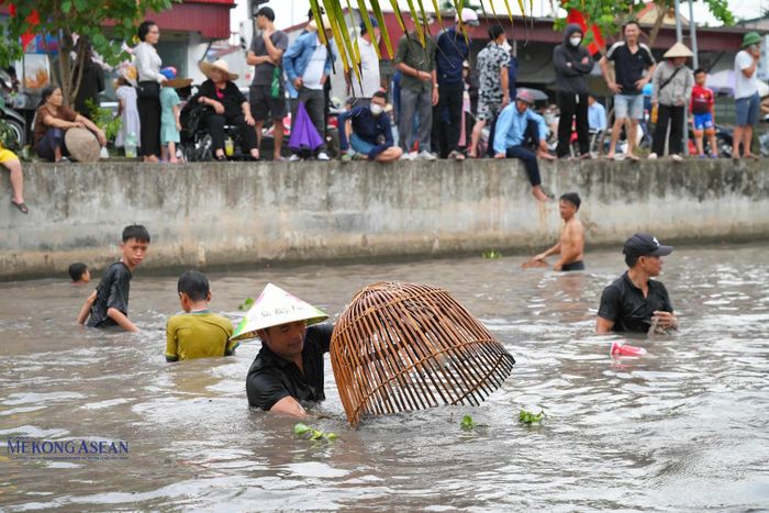 Hội thi đùa nơm truyền thống năm 2026, tại khu vực kênh T6, đoạn từ cống Mỹ Nam đến khu vực chợ Cầu Bến. Ảnh: Mekong ASEAN.