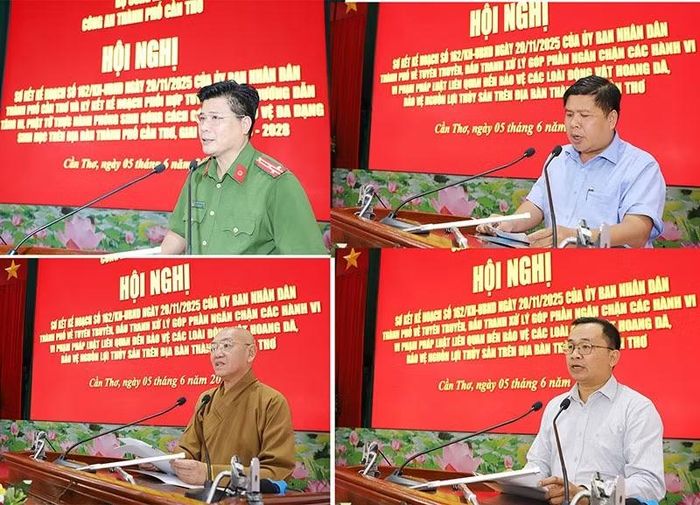 Các đại biểu tham luận tại hội nghị.