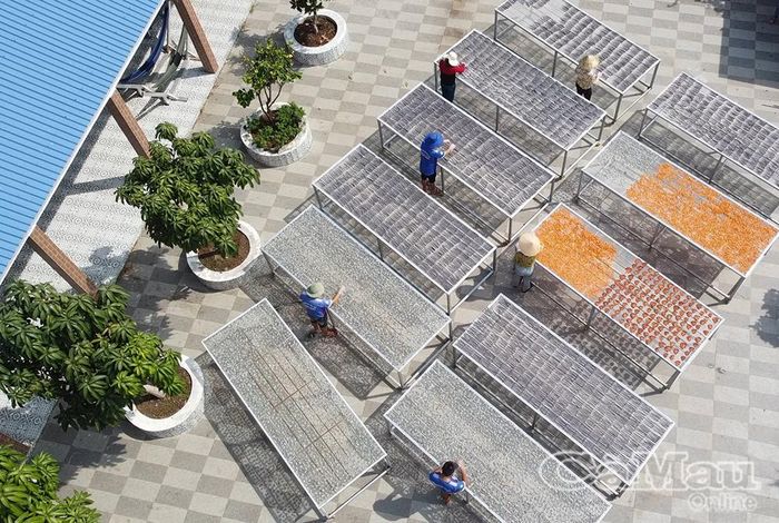  Sân phơi rộng rãi, thông thoáng giúp đón trọn ánh nắng tự nhiên, đảm bảo chất lượng khô cá thành phẩm.