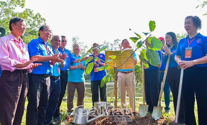 Cây giống được chiết từ cây đa Bác trồng ngày 11/1/1960 tại công viên Thống Nhất - Hà Nội được gửi tặng đến Cà Mau.
