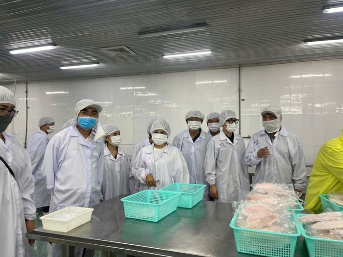 Đoàn tham quan nhà máy chế biến (cá rô phi) của doanh nghiệp.