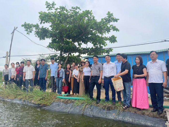  Đoàn tham quan vùng nuôi nguyên liệu của doanh nghiệp(cá rô phi) tại phường Hòa hiệp, tỉnh Đắk Lắk.