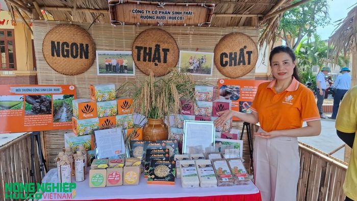 Đa dạng các sản phẩm chất lượng, có giá trị dinh dưỡng cao sản xuất cộng sinh từ mô hình lúa rươi hữu cơ