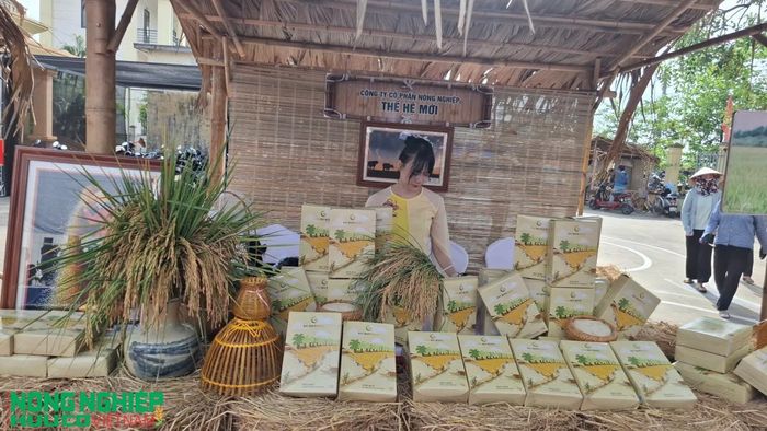 Sản phẩm gạo chất lượng từ việc nghiên cứu khoa học và ứng dung trên vùng đất lúa rươi hữu cơ