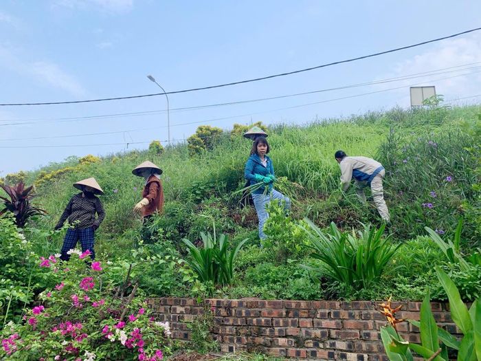 Phát quang bụi rậm, cỏ dại trên các tuyến đê. Ảnh: Đỗ Phương