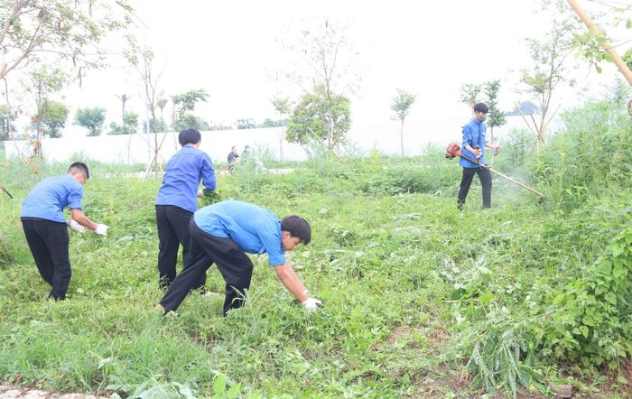 Một số hình ảnh các đại biểu, cán bộ, đoàn viên, hội viên và nhân dân đã tham gia vệ sinh môi trường tại Công viên Chu Văn An và nhiều tuyến đường, khu dân cư trên địa bàn. Ảnh: PV