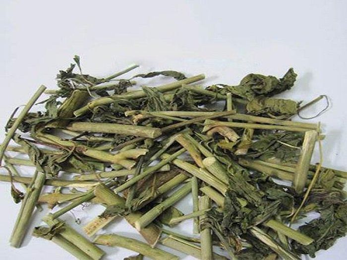 Cây xương khỉ khô.