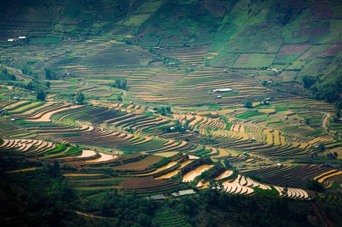 Nhìn từ trên cao xuống, những thửa ruộng xếp tầng tầng lớp lớp tựa như một tuyệt tác của tự nhiên. Ảnh: Giang A Chay.