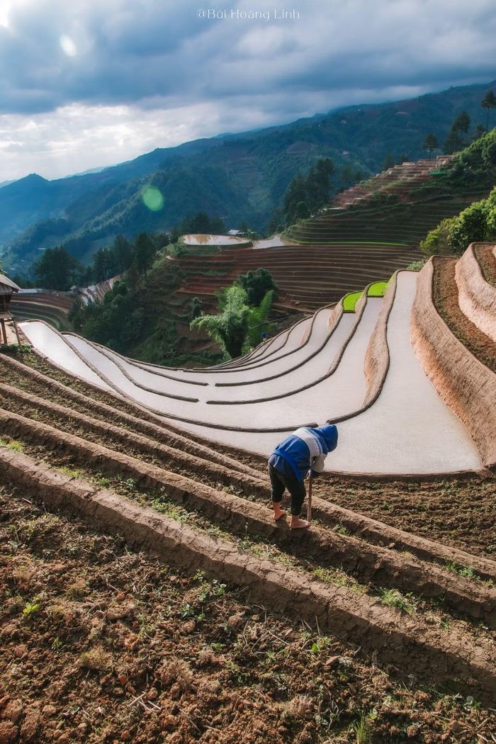 Khung cảnh lao động bình dị giữa những thửa ruộng bậc thang ngập nước vừa phản ánh nhịp sống của người dân bản địa vừa tạo nên bức tranh hài hòa giữa con người và thiên nhiên nơi đây. Ảnh: Bùi Hoàng Linh.